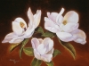 Magnolia 2