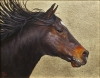 gold horse 2